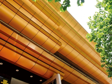 Shaped aluminum veneer