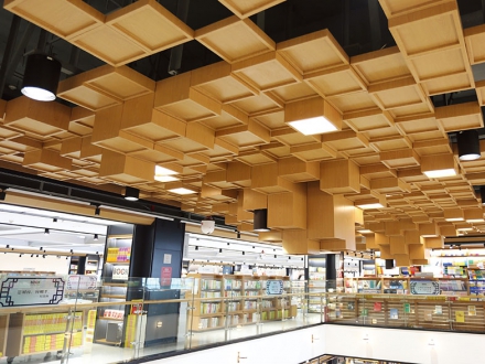 Metal shaped ceiling